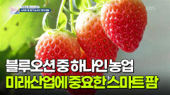 [굿모닝 잡스타] 블루오션 중 하나인 농업! 스마트 팜을 위한 교류 | KBS 251128 방송 
