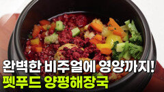 [직업의 세계] 펫푸드 스타일리스트 베테랑이 만든 펫푸드 양평해장국! | KBS 251127 방송 