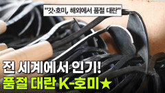 [직업의 세계] 전 세계에서 인기! 품절 대란 K-호미 | KBS 251218 방송 