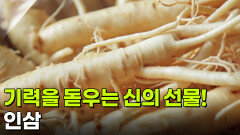 [셰프의 레시피] 기력을 돋우는 신의 선물! 인삼 | KBS 251218 방송 