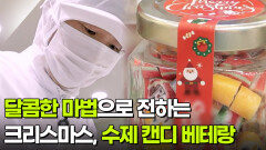 [직업의 세계] 달콤한 마법으로 전하는 크리스마스, 수제 캔디 베테랑 | KBS 251225 방송 
