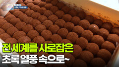 [아침 현장] 전 세계를 사로잡은 초록 열풍 속으로~ | KBS 260114 방송 