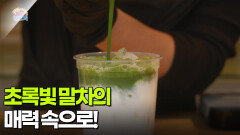 [아침 현장] 초록빛 말차의 매력 속으로! | KBS 260114 방송 