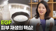[굿모닝! 건강브런치] 피부 재생의 핵심! EGF | KBS 260115 방송 