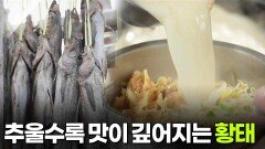 [찐! K-푸드] 추울수록 맛이 깊어지는 황태 | KBS 260115 방송 