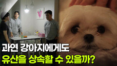[사건의 재구성] 과연 강아지에게도 유산을 상속할 수 있을까? | KBS 260122 방송 