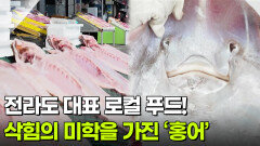 [찐! K-푸드] 전라도 대표 로컬 푸드! 삭힘의 미학을 가진 ‘홍어’ | KBS 260122 방송 