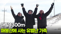 [You! 별난 인생] 해발 1300m 매봉산에 사는 유별난 가족 | KBS 260219 방송 