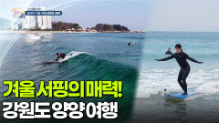 [신선행] 겨울 서핑의 매력! 강원도 양양 | KBS 260227 방송 
