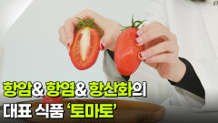 [닥터X파일] 항암&항염&항산화의 대표 식품 ‘토마토’ | KBS 260225 방송 