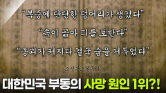 [닥터X파일] 대한민국 부동의 사망 원인 1위! 암을 막아라 | KBS 260225 방송 