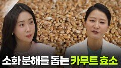 [굿모닝! 건강 브런치] 소화 분해를 돕는 카무트 효소 | KBS 260226 방송 