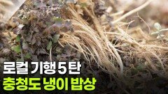 [찐! K-푸드] 로컬 기행 5탄, 충청도 냉이 밥상 | KBS 260226 방송 