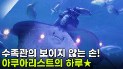 [직업의 세계] 수족관의 보이지 않는 손! 아쿠아리스트의 하루 | KBS 260305 방송 