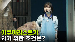 [직업의 세계] 아쿠아리스트가 되기 위한 조건은? | KBS 260305 방송 
