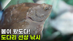 [찐! K-푸드] 봄이 왔도다! 도다리 선상 낚시 | KBS 260305 방송 