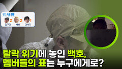 “ 뭉쳐야 산다! ” 탈락 위기에 놓인 백호, 과연 멤버들과 단합이 됐을까? | KBS 250911 방송 