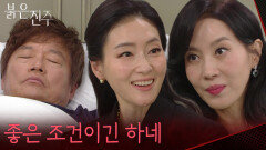 “좋은 조건이긴 하네” 김희정과 손잡는 박진희? [붉은 진주] | KBS 260608 방송 
