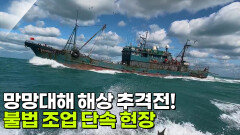 망망대해 해상 추격전! 불법 조업 단속 현장 | KBS 260225 방송 