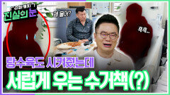 “그만 울어 뚝! 해” 밥 챙겨줬는데 서럽게 우는 보이스 피싱범(?) | KBS 260527 방송 