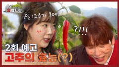 [2회 예고] 고추️의 효능(?) l 홍판사판 | EP.02 | KBS Joy 240404 방송