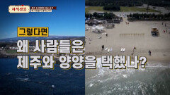 로컬 콘텐츠로 지역 소멸에 대응한다 l KBS Life 20240301 방송