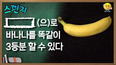 [    ](으)로 바나나를 똑같이 3등분 할 수 있다 [스펀지 레전드] | KBS 060520방송