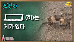 [스펀지 레전드] [    ](하)는 게가 있다 | KBS 060715방송