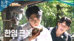 [동계픽플] 프린스 차 팀장의 얼음 대모험🧊 (feat.고추냉이)ㅣKBS 방송