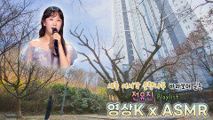 세종 어서각 은행나무 보며 듣는 #전유진 노래  / KBS 대전 방송