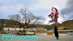 청양 청소리 버드나무 바라보며 듣는 #오유진 노래  / KBS 대전방송