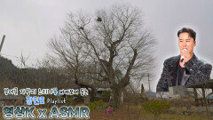 홀로된 사랑 #장민호 와 함께하는 부여군 부여읍 자왕리 느티나무 / KBS 대전 | KBS 방송