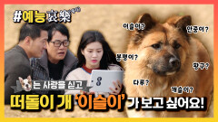 [#예능애락] 떠돌이 개 ‘이슬이’🦮가 보고 싶어요!ㅣ KBS방송