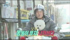 김동현과 봉봉이의 귀여운 드라이빙!