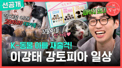 [전지적 참견 시점 선공개] 강아지·고양이와 사는 남자, 이강태 재출격 전에 없던 하숙생들이 함께한다?!, MBC 260404 방송