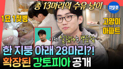 [엠뚜루마뚜루] 강태네 새로 생긴 고양이 단지?! 총 28마리를 키우고 있는 K-동물 아빠 이강태 아침 일상ㅣ#이강태 MBC260404방송
