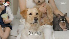 [전지적 참견 시점] 오늘은 가족사진 Day 거실에 다 모인 이강태 가족, MBC 260214 방송