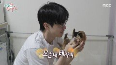 [전지적 참견 시점] 꼬순내 테라피로 시작하는 아침 꼬물이들을 보내기 싫은 이강태, MBC 260404 방송