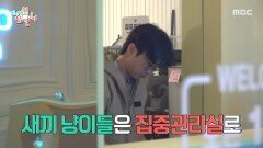 [전지적 참견 시점] 새끼 냥이들과 함께 포캣멍센터로 출근하는 이강태, MBC 260404 방송