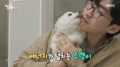 [전지적 참견 시점] 무럭무럭 자란 조랭이의 애교 강아지들과 인사하는 이강태, MBC 260404 방송