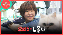 [전지적 참견 시점] 반려묘 우리를 열심히 빗질하는 최강희 둘만의 행복한 놀이 시간, MBC 260509 방송