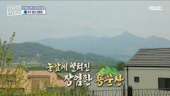 “집에 핑크 뮬리가 있어요?＂ 눈앞에 펼쳐진 용문산!  반려견과 함께 계절의 변화를 볼 수 있는 주택, MBC 230528 방송