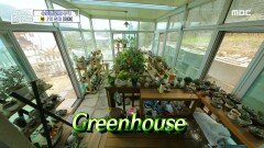 초록초록 화분 가득한 다용도실 매매가 2억 원대의 수도권 인근 주택, MBC 240425 방송