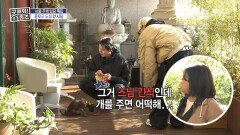 법당 앞을 지키는 강아지 인형...? 반전! 귀여운 2개월 생 아기 강아지, MBC 251120 방송