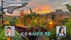 도심 속 나만의 집을 꾸민 싱글남의 옥상, MBC 260115 방송