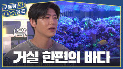 박지현도 감탄한 청정(?) 구역 물멍의 끝판왕, 해수어, MBC 260521 방송