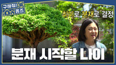 집주인의 취미생활이 가득 찬 작은 정원🪴 분재의 매력에 눈 뜬 김숙, MBC 260625 방송