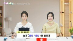 우리말 나들이 - 돋친/돋힌, MBC 241120 방송