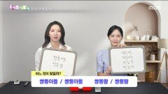 우리말 나들이 - 쌍동아들/쌍둥아들/쌍동딸/쌍둥딸, MBC 251111 방송
