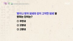 우리말 나들이 - 쿠린내/꼬랑내/고랑내, MBC 251212 방송